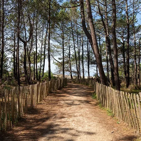 Maison Moderne 3* Avec Jardin Et Clim A Bourg - Pres Des Pistes Cyclables Et Plages - Fr-1-319-533